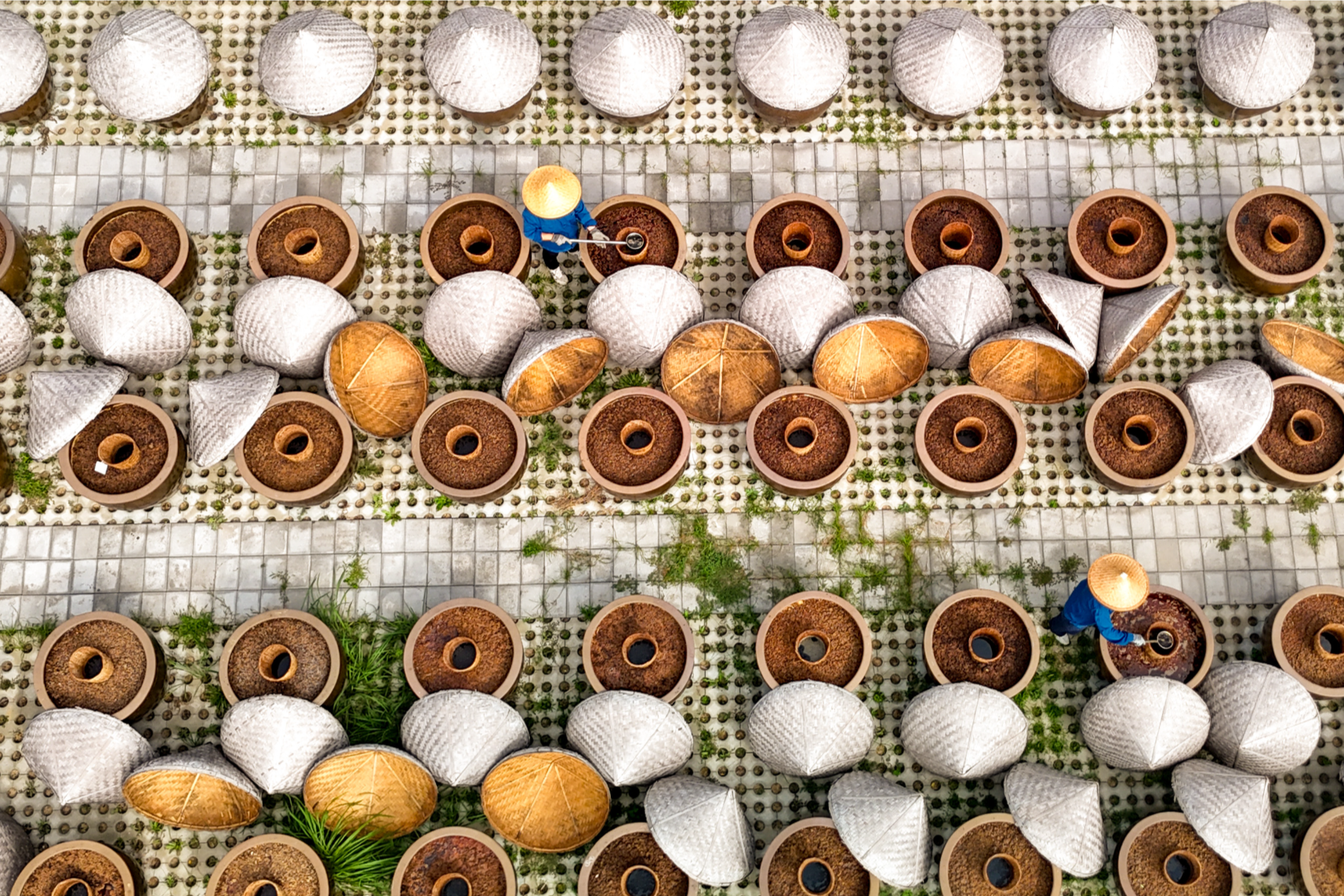 In pics: Workers dry soy sauce in Tengzhou, Shandong
